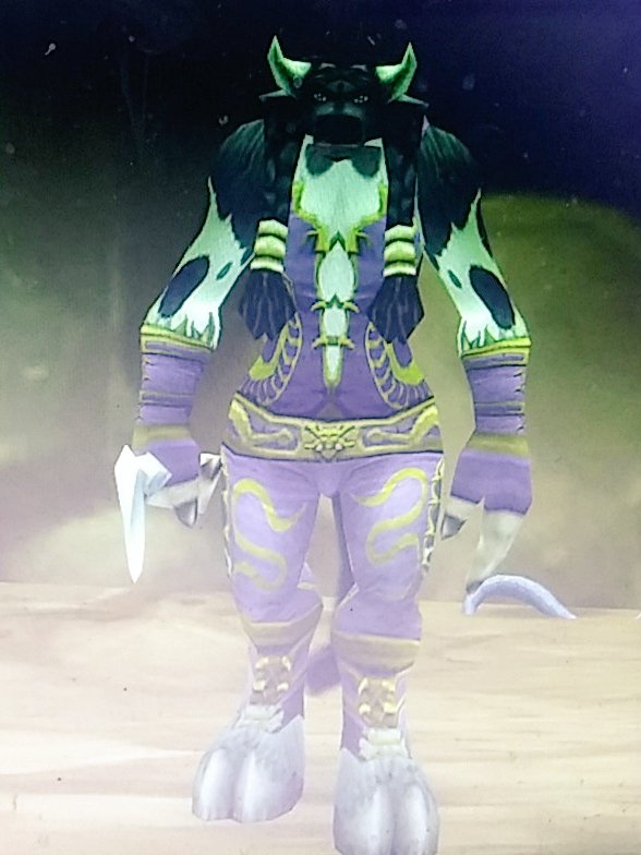 SBSSkazzo's tweet image. Got my full set baby. #raidready