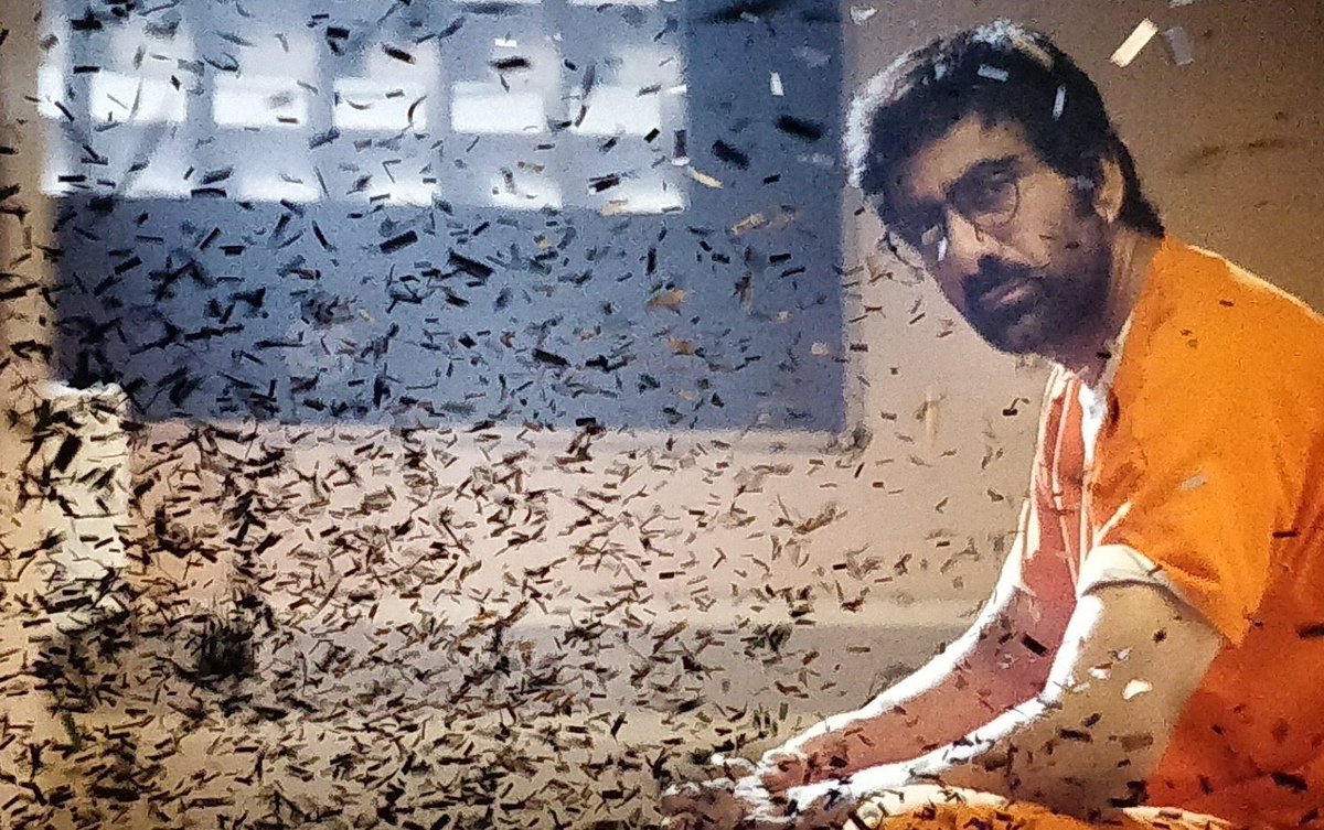 BharathWaj__'s tweet photo. #Fan_Forever hit or flop ❤️ 
@RaviTeja_offl 
#AmarAkbarAnthony https://t.co/amVwm9fW6P