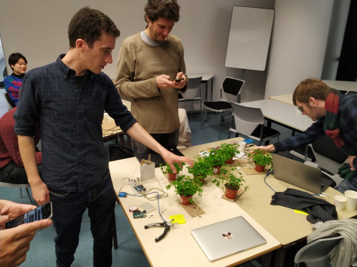 cybunk's tweet photo. Cool workshop with @aurelient about bio monitoring with lichens and sensitive plants  #dataviz @dataphys #substanability. https://t.co/4jV3cPioYn