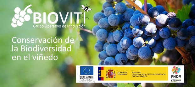itg_imagine's tweet photo. Presentamos los 3 Grupos Operativos de #Innovación en los que participamos aportando soluciones tecnológicas: #SMARTOM (cultivo del tomate), #BIOVITI (viticultura) y #BITTERLICH (sector forestal) en evento #EIPAGRI vía @FEUGA_20 en Santiago de Compostela https://t.co/jVA7rZCdBr https://t.co/E0pEP5TatC