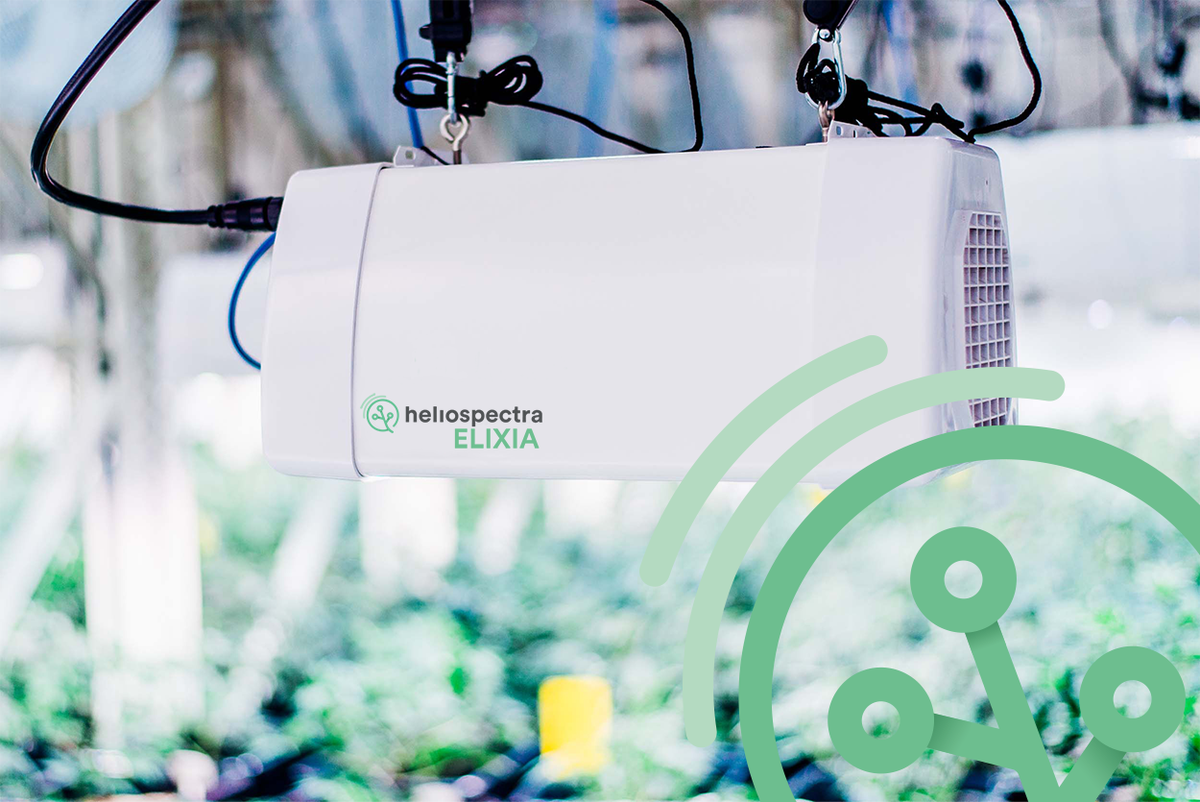 Heliospectra's tweet photo. We are happy to announce a new order from a state-of-the-art cannabisoperation in Macedonia. Read the full release here https://t.co/UuyvlB3lyk
#ELIXIA #helioCORE #LEDGrowLights #cannabis #Ag #Tech https://t.co/w1qwRx4H6u