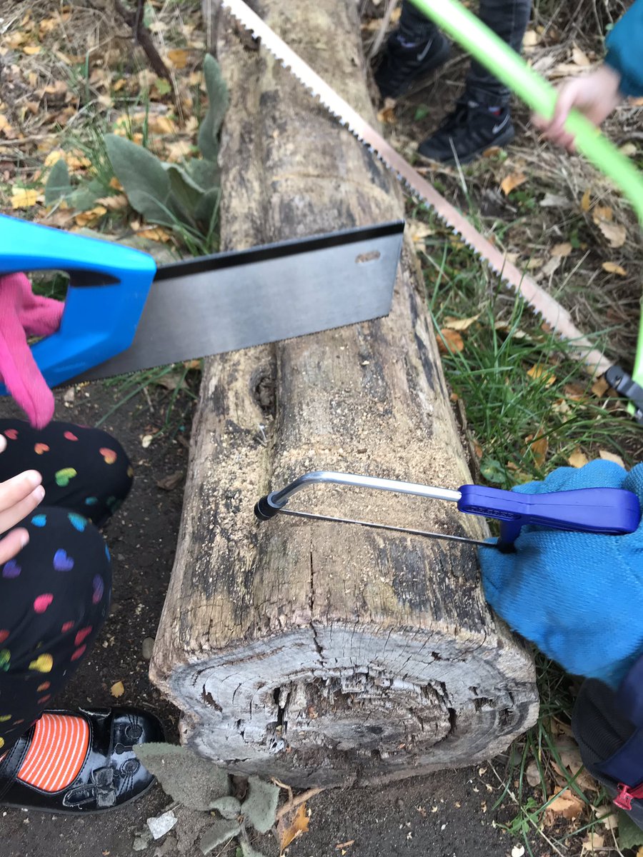 All_SaintsCofE's tweet photo. 🌳Class Gruffalo had another mini Forest School session within their outdoor learning area with Mr Thomas! They got to use the brand new Forest School tools safely🌳
#ForestSchool #LearningOutdoors  #SelfRisk #EYFSForestSchool #NoCeiling #ForestSchoolTools #ChildLeadLearning https://t.co/zcBEQjOw4o