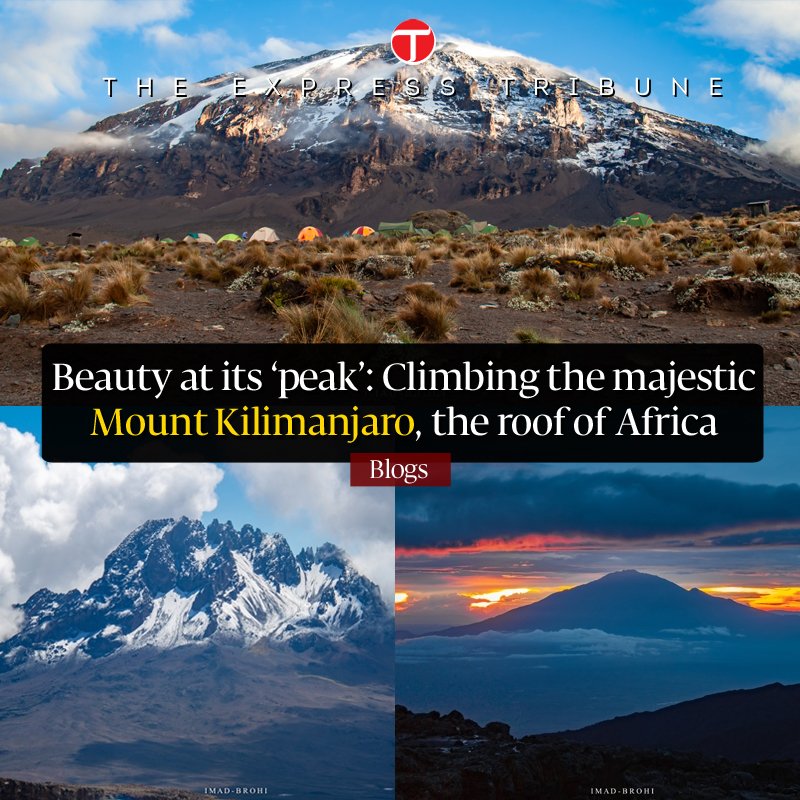 tribuneblogs's tweet photo. #MountKilimanjaro is one of the 7 summits &amp; the tallest free-standing mountain in the world. For trekkers/mountain climbers like myself, it was intimidating &amp; thrilling; an unforgettable experience. Oh and it's visa on-arrival for #Pakistanis! @imadbrohi

https://t.co/r0DIPkGFcs https://t.co/bkX1cYNsqZ