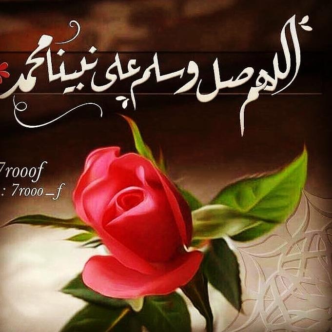 SolimanSayed10 tweet picture