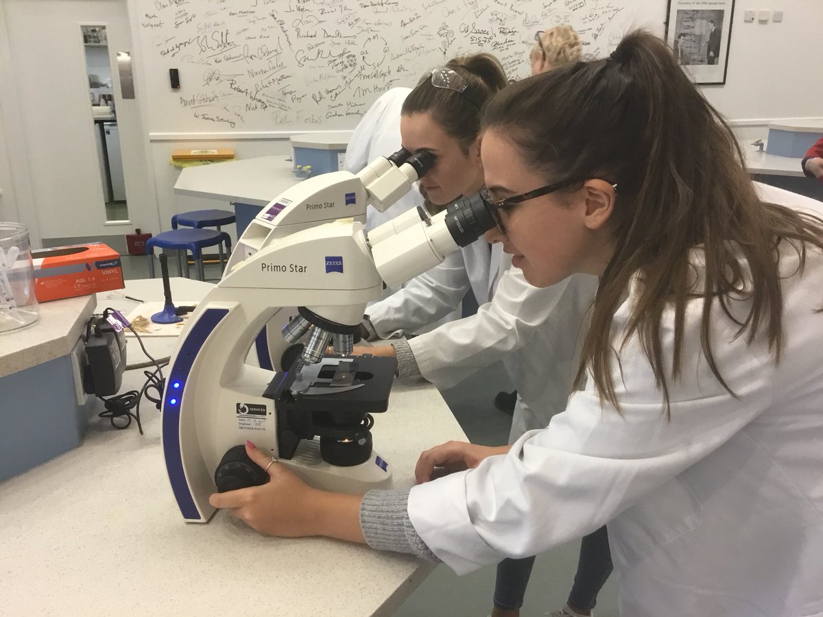 QEStudio_Health's tweet photo. Masterclass for our Year 13 Anatomy and Physiology unit https://t.co/rd5pppESoE