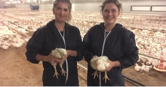 abagricareers's tweet photo. Getting hands on is part of life for #graduates at @ABAgriLtd! Our Commercial and Supply Chain grads visited a customer to see how ABN are using technology to improve performance on farm. Keep an eye out for our graduate roles here: https://t.co/KHLzmFuvHF #FindajobFriday https://t.co/OLK5d5t0xY