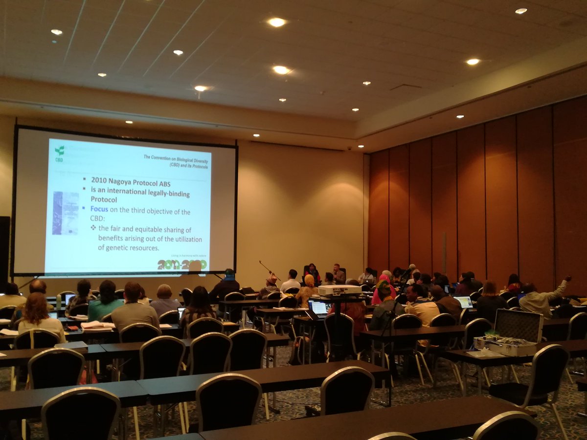 La #RMIB presente en las reuniones preparatorias del Foro Internacional Indígena sobre Biodiversidad (FIIB) en el marco de la XIV reunión de la Conferencia de las Partes del Convenio sobre la Diversidad Biológica COP 14 en Sharm El-Sheikh, Egipto. #FIIB #COP14 #Egipto @EgypCOP14