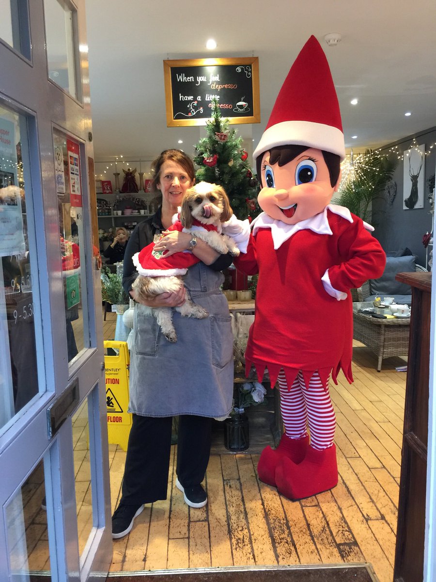 @a2binflateapubevents an amazing welcome <a href="/RoseHousePerth/">The Rose House</a>  huge thanks to Audrey and to Katie and Baxter #DogFriendlyPerthshire for having Buddy Bells in for #coffee &amp; #Scones  xx