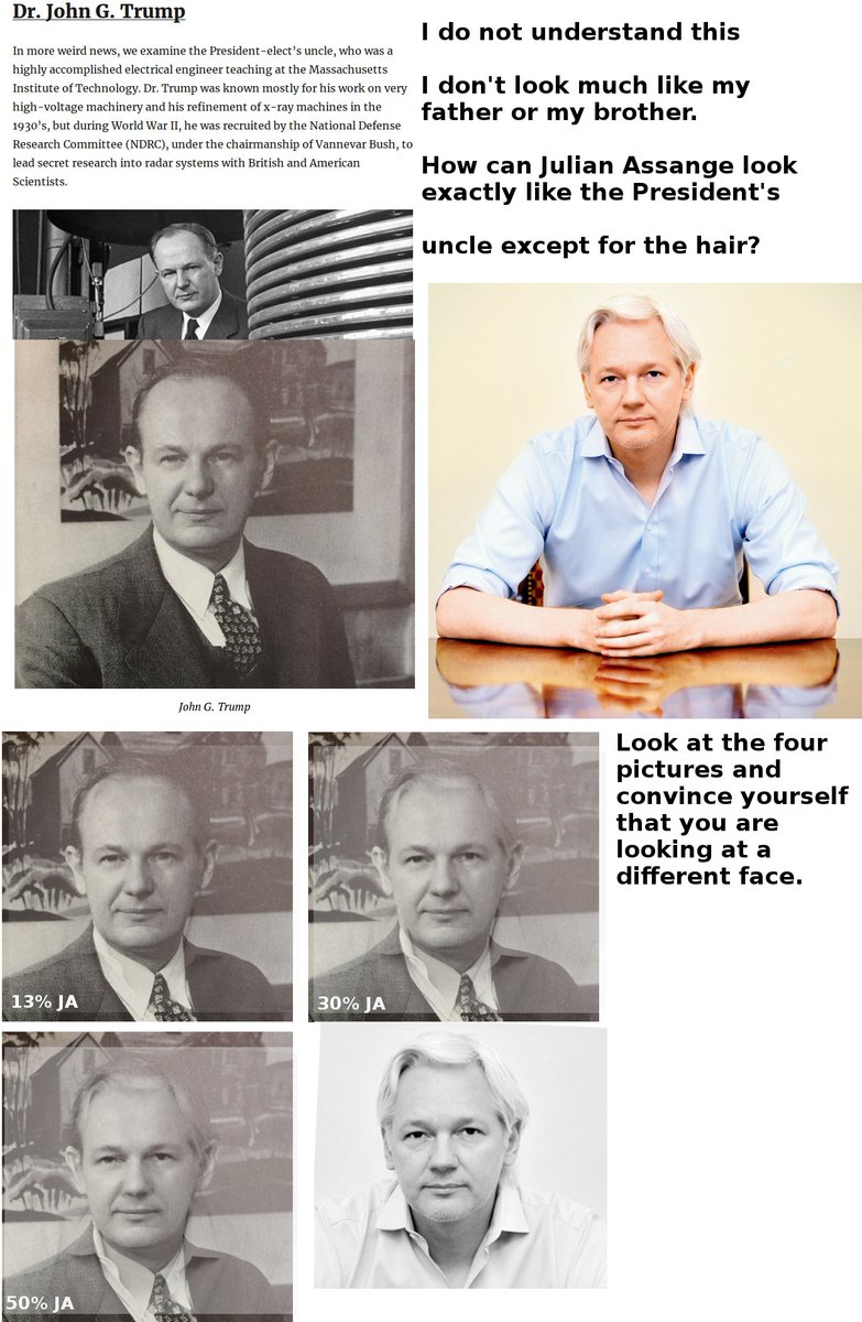 Dragoncave On Twitter Julian Assange Is A Trump