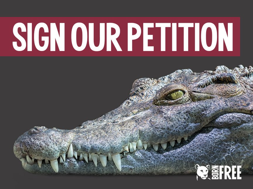 Born Free Foundation tweet media