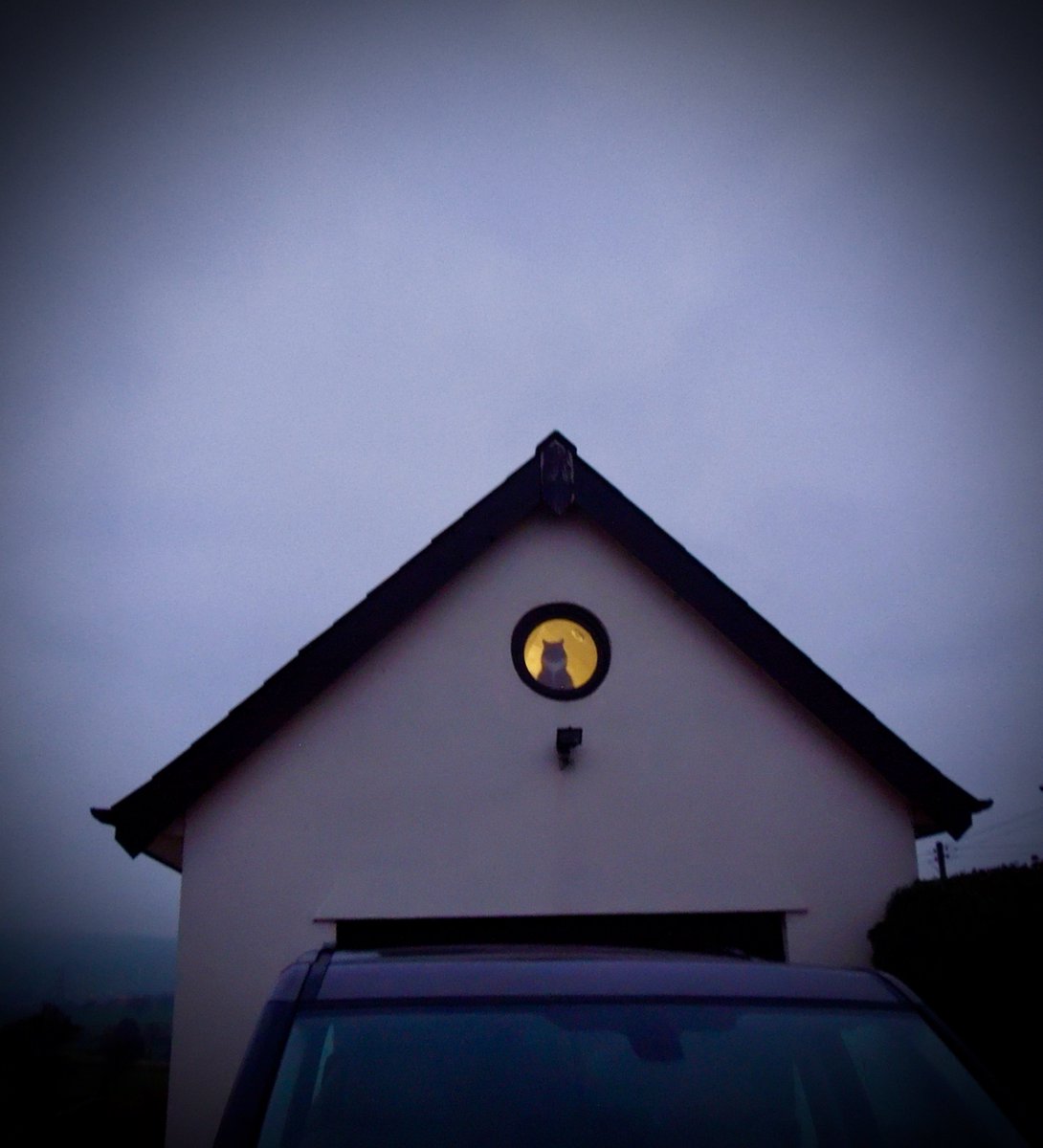 TheSaltySeaCat's tweet photo. #FridayFeeling #CatsOfTwitter On pawtrol this morning, I had the strangest feeling that I was being watched ... #PatrickCat π https://t.co/2HJn9TYrea