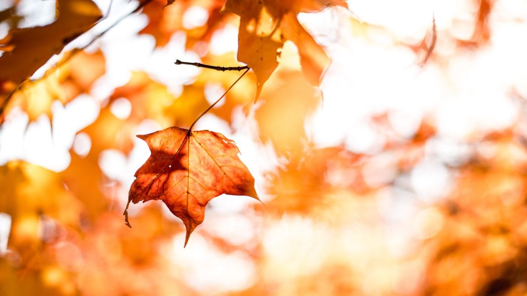 40 Things to do this Autumn in Shanghai ow.ly/CCa130mjX5T #autumn #shanghai #china #seetheworld #explorechina #travel #asia #traveller