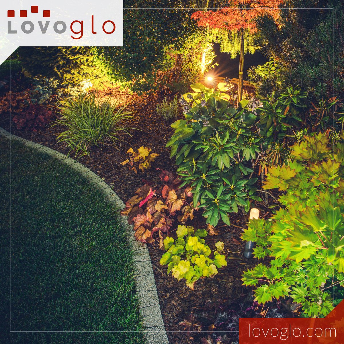 lovoglo's tweet photo. Why should your garden be limited to you in the winter? Find colourful winter plants and flowers and make them shine at night with some garden lighting! #GardenTips #GardenLighting https://t.co/5M1nhmLHXY