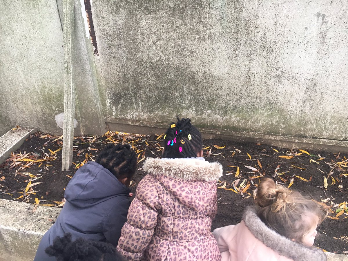 ecolepmc's tweet photo. Hier, la classe de Petite Section a semé des grains de blé dans la cour. Cela va permettre d’apporter encore plus de biodiversité à l’école. #PmcE3D https://t.co/c8ztns2Uwa
