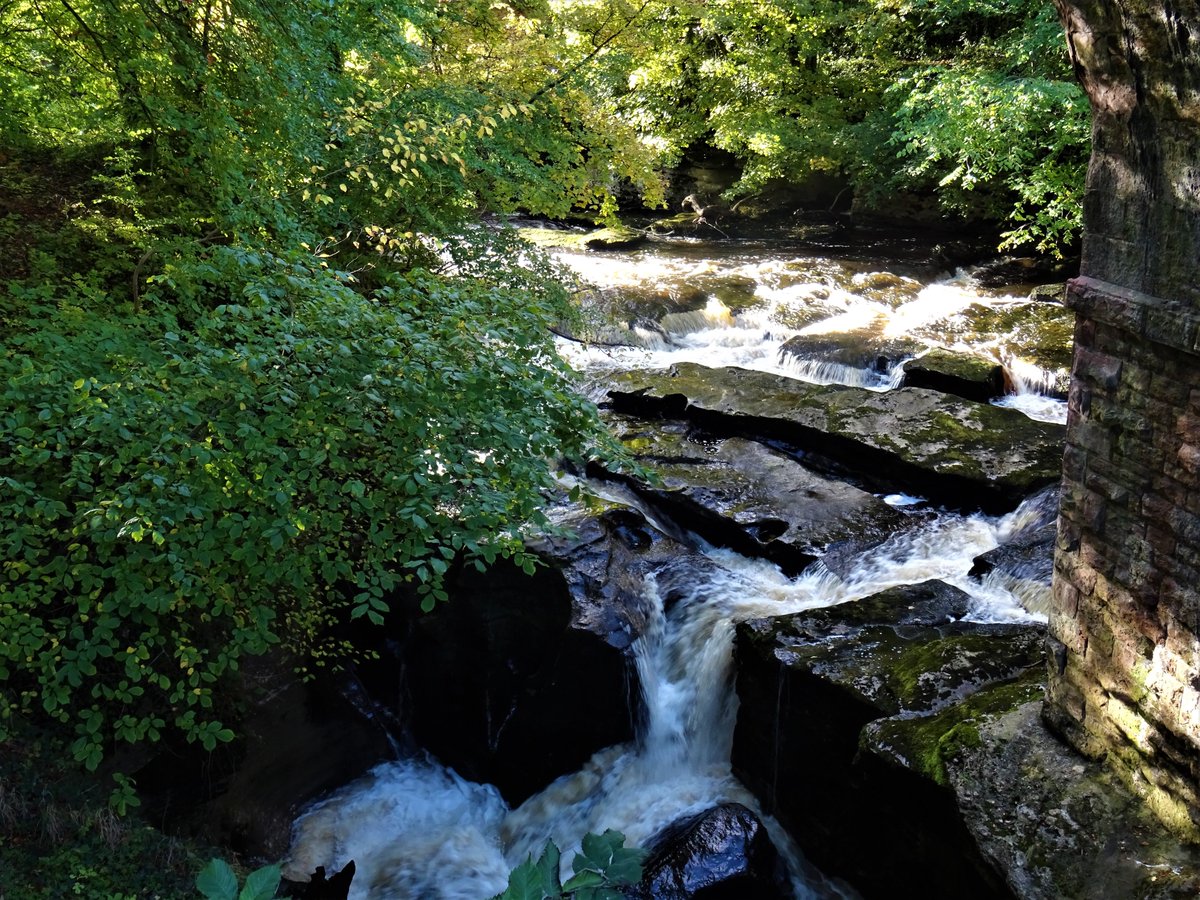 VisitUpperEden's tweet photo. Looking like a great #weekend to #explore we have some wonderful #waterfalls around #kirkbystephen #westmorlanddales #yorkshiredales #edenvalley #hellgillforce #cautlelyspout #rutterfalls and our very own Coup Karnel at #stenkrithpark #yourtimetoexplore https://t.co/UHIXDmfqRN
