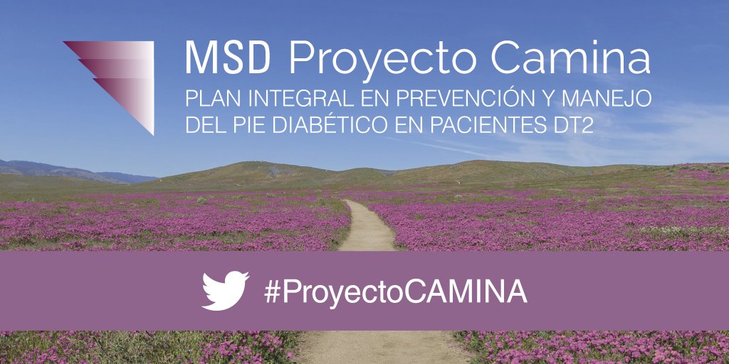 msd_es's tweet image. Estamos comprometidos en la prevención y buen manejo del pie diabético . El trabajo multidisciplinar y en equipo es clave en la prevención y mejora de la calidad de vida de los pacientes con DM2. ¡Conozca el #ProyectoCamina !
bddy.me/2TjbTln  
#Diabetes