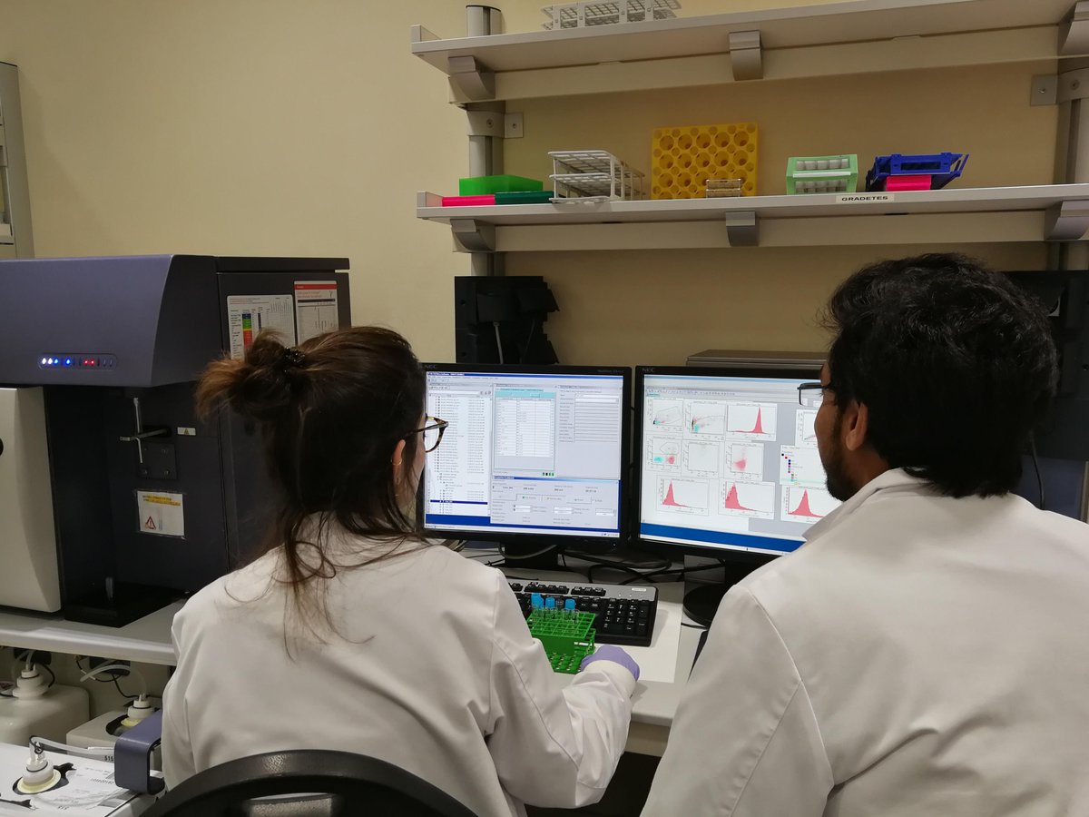 NewDealEU's tweet photo. Sharing knowledge and experiences is key for a successful project! And that’s why our partners from @INSERM and @IDIBAPS are working together in Barcelona these days. Keep up the good work! #H2020 #InvestEUresearch https://t.co/ayoVl7O8yg