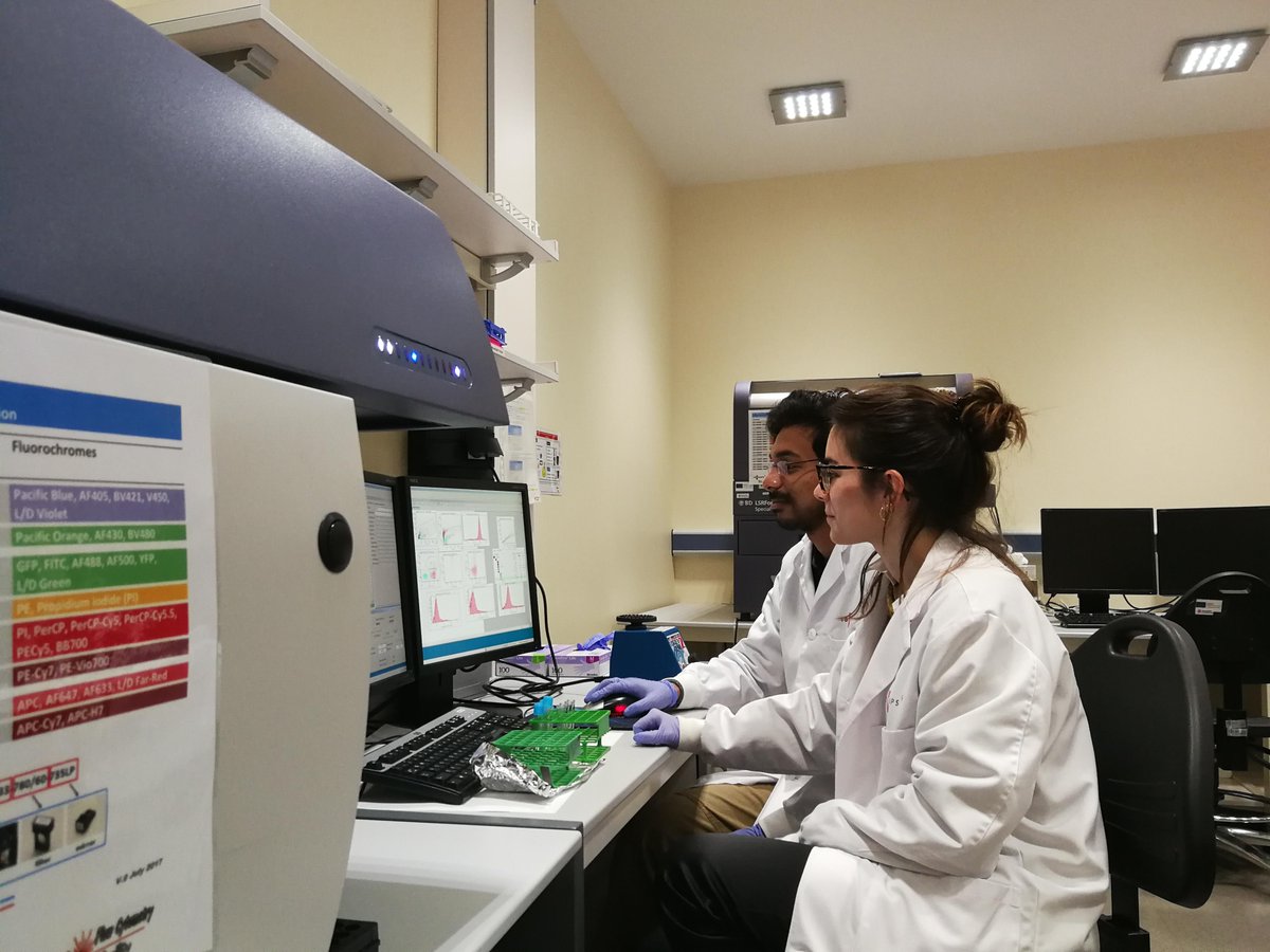 NewDealEU's tweet photo. Sharing knowledge and experiences is key for a successful project! And that’s why our partners from @INSERM and @IDIBAPS are working together in Barcelona these days. Keep up the good work! #H2020 #InvestEUresearch https://t.co/ayoVl7O8yg