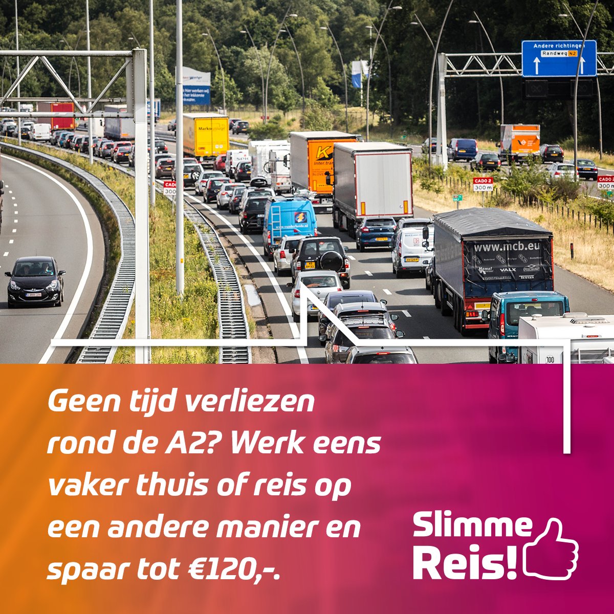 bmnetwerk tweet picture