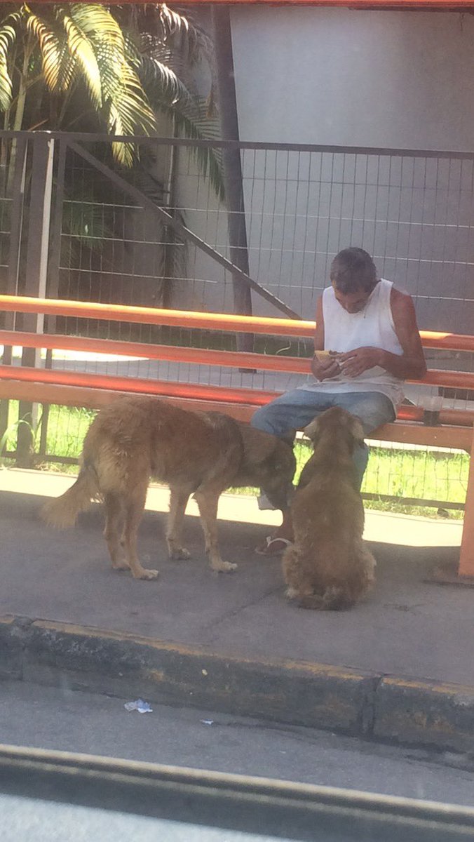IgorcNaves's tweet photo. Uma lição para muitas reclamações e lamentações!O que menos tinha mas que soube dividir.Ele comia e em seguida dava pra um cachorro, depois para outro, depois para ele, em sequência e os cachorros ficavam sentados esperantos sua vez para poder levantar. Acredito na Humanidade!!! https://t.co/mXjOnTL3wu
