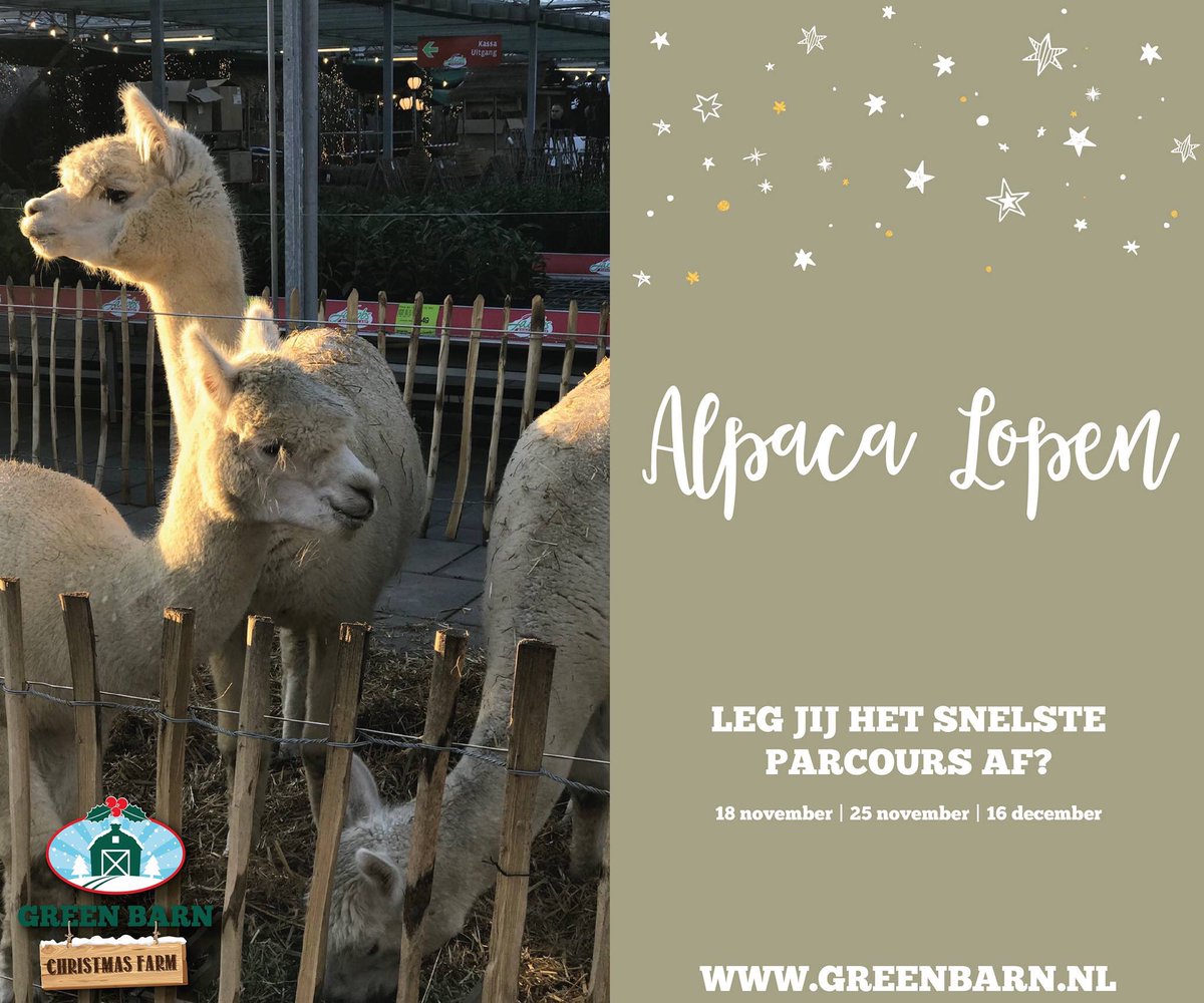 Alpaca_America's tweet photo. Leg jij het snelste parcours af? Kom dan as zondag naar de Green Barn in Venlo #alpacagility #alpaca #alpacawandeling #kerstmarkt #christmasfarm #greenbarn #farmersmarket #alpacaamerica https://t.co/hPcwRnXyuS