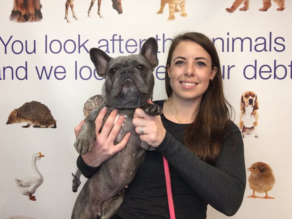 We’re back at the London #vetshow with <a href="/dcscollect/">Debt Collection Serv</a> today! Come to stand P14 to get a picture and be in with a chance to win 🍾 #DCSvetshow #LondonVetShow