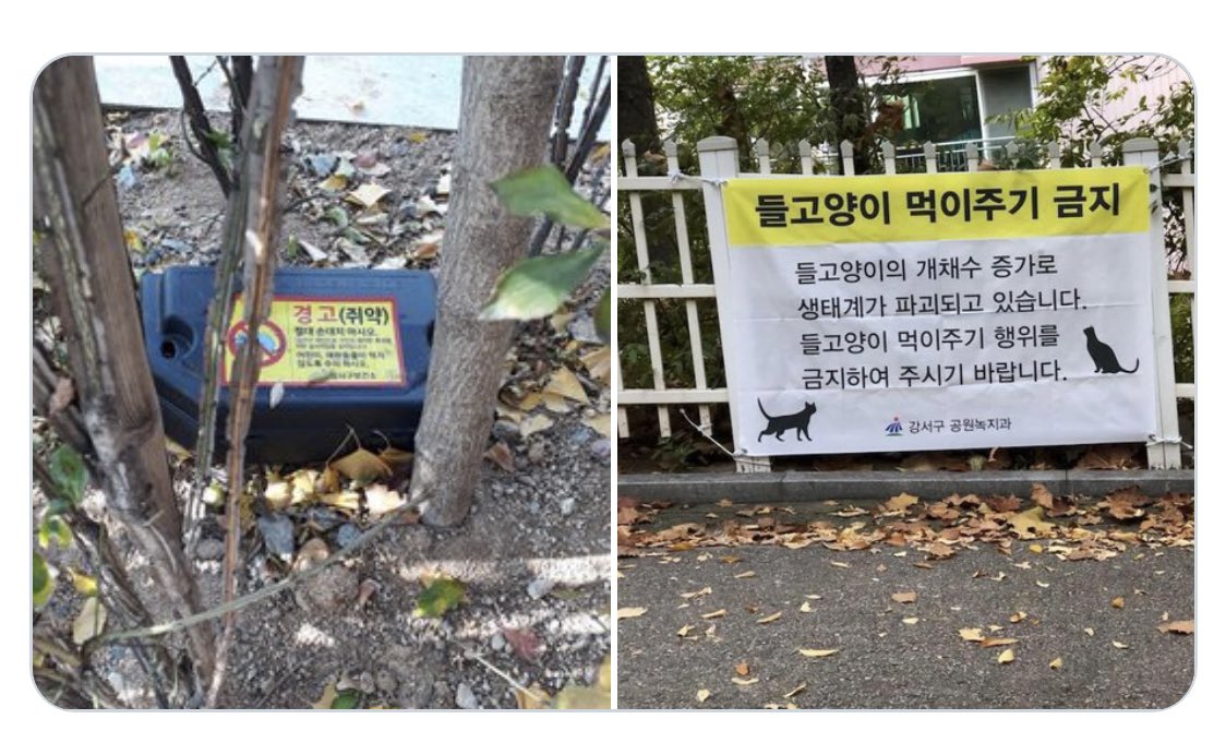 weeper007's tweet photo. @hsro22 노인들 복지도 좋지만 동물 복지에도 고나심가져주세요 강서구청에서 지시하신 일인가요?!! 많은 사람들이 지금 이 현수막과 쥐약으로 화가 나 있습니다!! 당장 철거 조치 해주세요! 살기 좋은 강서구 만들어 주신다 하셨자나요. 구청장님 뽑은 유권자로 꼭 실망시키지 말아주세요. 믿겠습니다 https://t.co/4OcmWOubsn