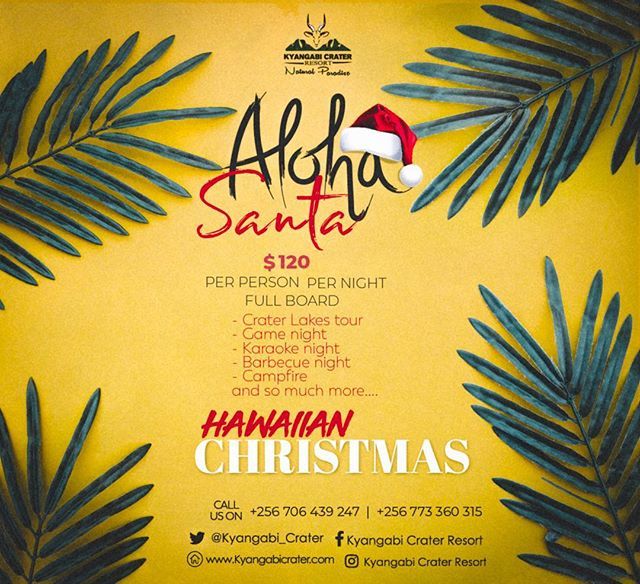 Kyangabi_Resort's tweet photo. Hii everyone! So this Christmas season just became lit! 🔥 .
.
Kyangabi Crater Resort is having a Hawaiian themed Xmas this season! Soo..
1. Think Hawaiian cocktails 🍸 🍹 
2. Think Hawaiian dishes 🥘 
3. Think a pool party 🎉 
4. Think lots of flowers 🌸..
See you then 👋 https://t.co/2NCO3ty2WZ