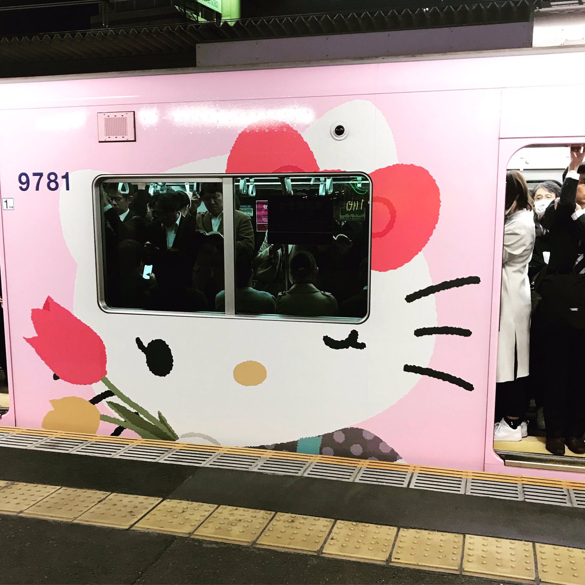 mipo__ringo's tweet photo. Hello!
#kitty #hellokitty #keioline #kittytrain https://t.co/71TRhGopNI