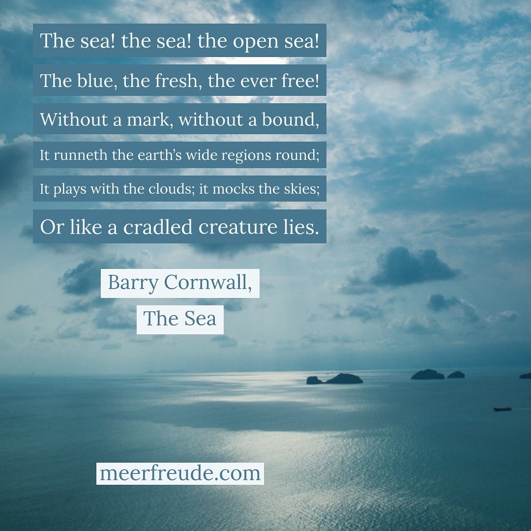 MEERFREUDEshop's tweet photo. https://t.co/iQuexbvcCw
.
#meerfreude #sea #seaside #ocean #oceans #life #living #water #nature #waves #surfing #seascape #wave #beach #beachday #quote #quotes #surferboy #surfergirls #surfen #surflife #surfinglife #wave #waves #Sailing #sailinginstagram #sailsouls https://t.co/3auVLcQIJR
