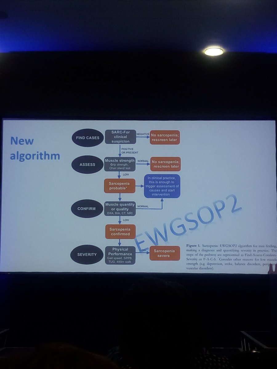 drmaymiller's tweet photo. Revised European consensus on sarcopenia - if suspected then measure muscle strength, if probable then investigate, if confirmed then determine severity by assessing physical performance #EWGSOP2 #bgsconf https://t.co/eGvBR0JhLZ