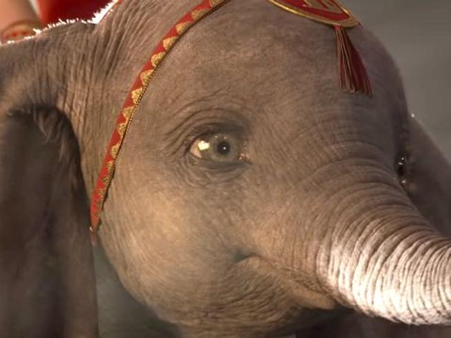 Corriere's tweet photo. «Dumbo»: ecco il trailer del film diretto da Tim Burton https://t.co/EBiFSWygp6 https://t.co/qonNxBqvux