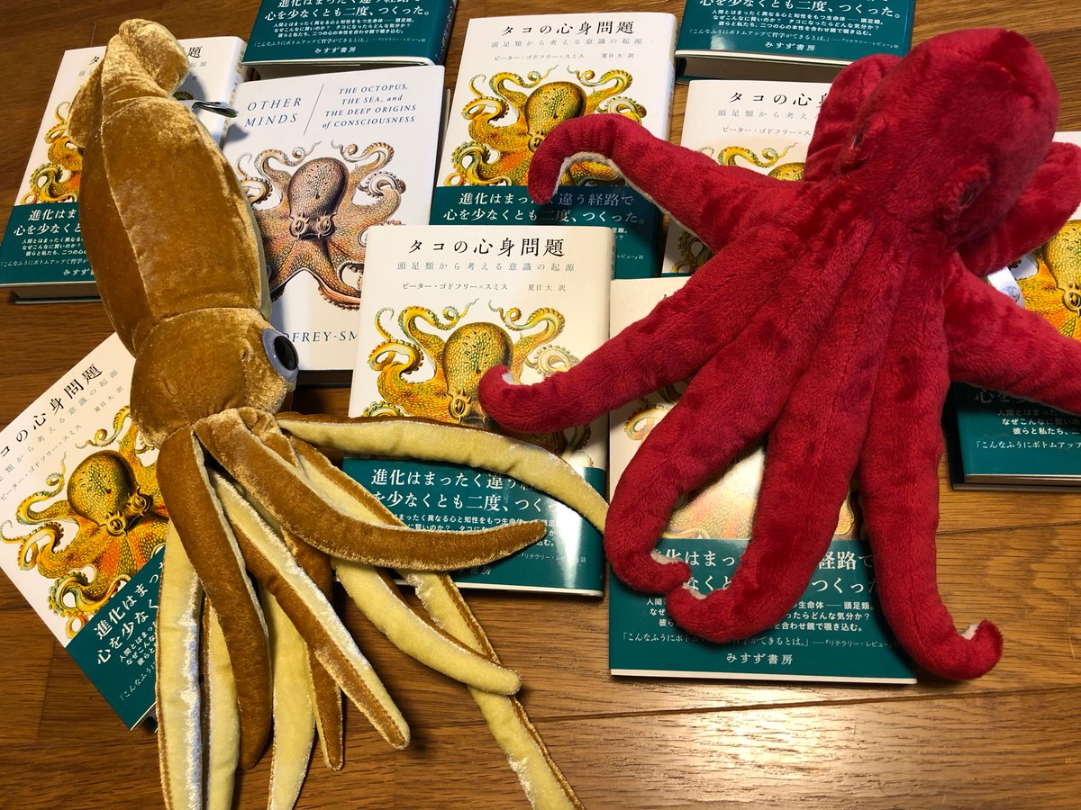 夏目大 Pa Twitter 最新訳書 タコの心身問題 本日配本です タコ イカといった頭足類は身近なエイリアン 頭足類の特異な生態がわかるとともに 彼らを通して 心や知性 そして人間とは何かに迫る本です そろそろ書店に並び始めると思います よろしくお願い 夏目大 Pa Twitter 最新訳書 タコの心身問題 本日配本です タコ イカといった頭足類は身近なエイリアン 頭足類の特異な生態がわかるとともに 彼らを通して 心や知性 そして人間とは何かに迫る本です そろそろ書店に並び始めると思います よろしくお願い