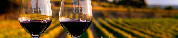 enterwine_cat tweet media