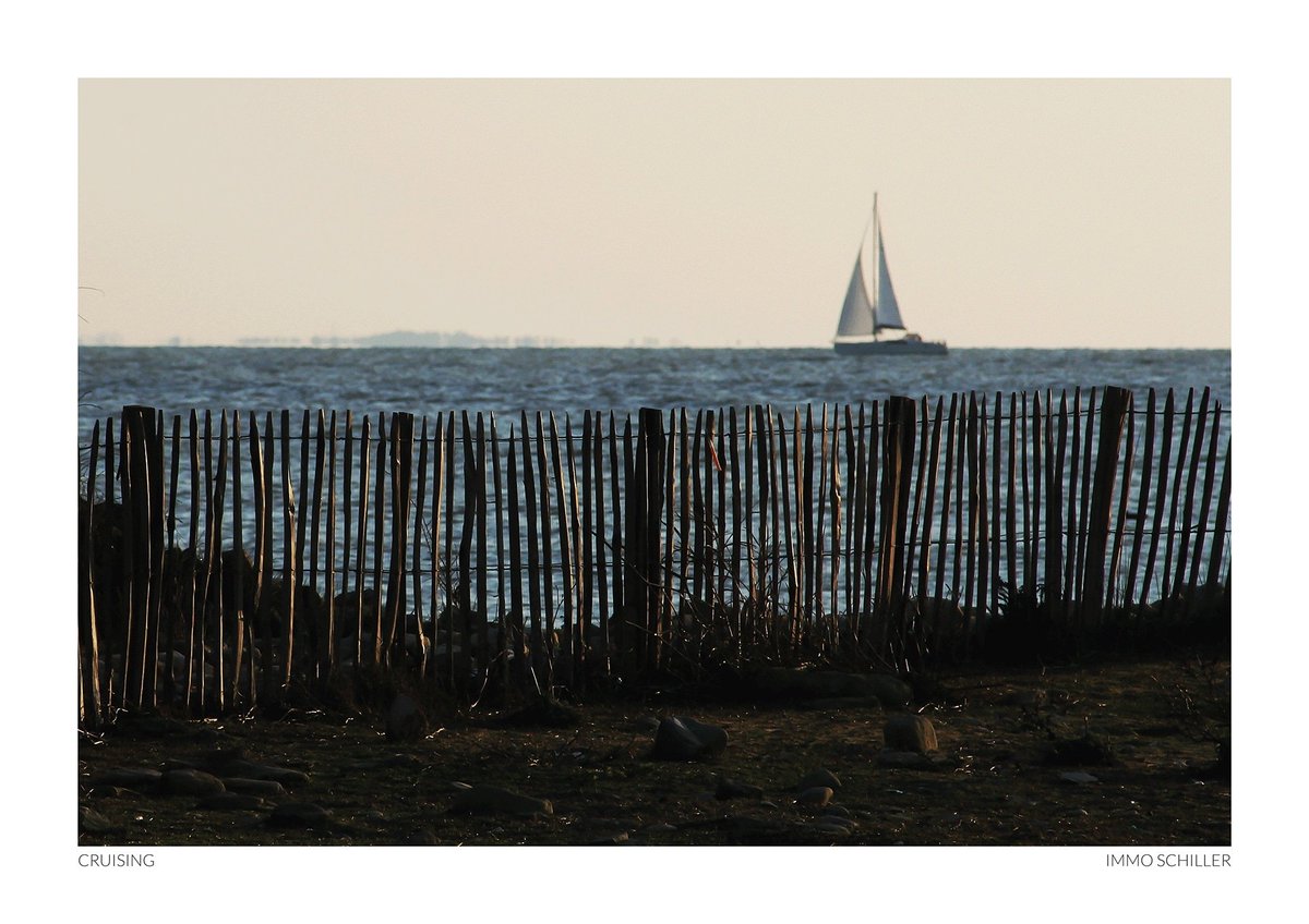 MEERFREUDEshop's tweet photo. SAVE 20%!
Your Code: ISP@MF20
https://t.co/gW7O6Ud9i8

CRUISING
Foto: Immo Schiller

#meerfreude #poster #lifestyle #livingart #interiordecor #interiorinspiration #homesweethome #homedesign #myhome #modernliving #inspiration #living #interior #homedecor #interieur #home https://t.co/hxjMG2GiYc