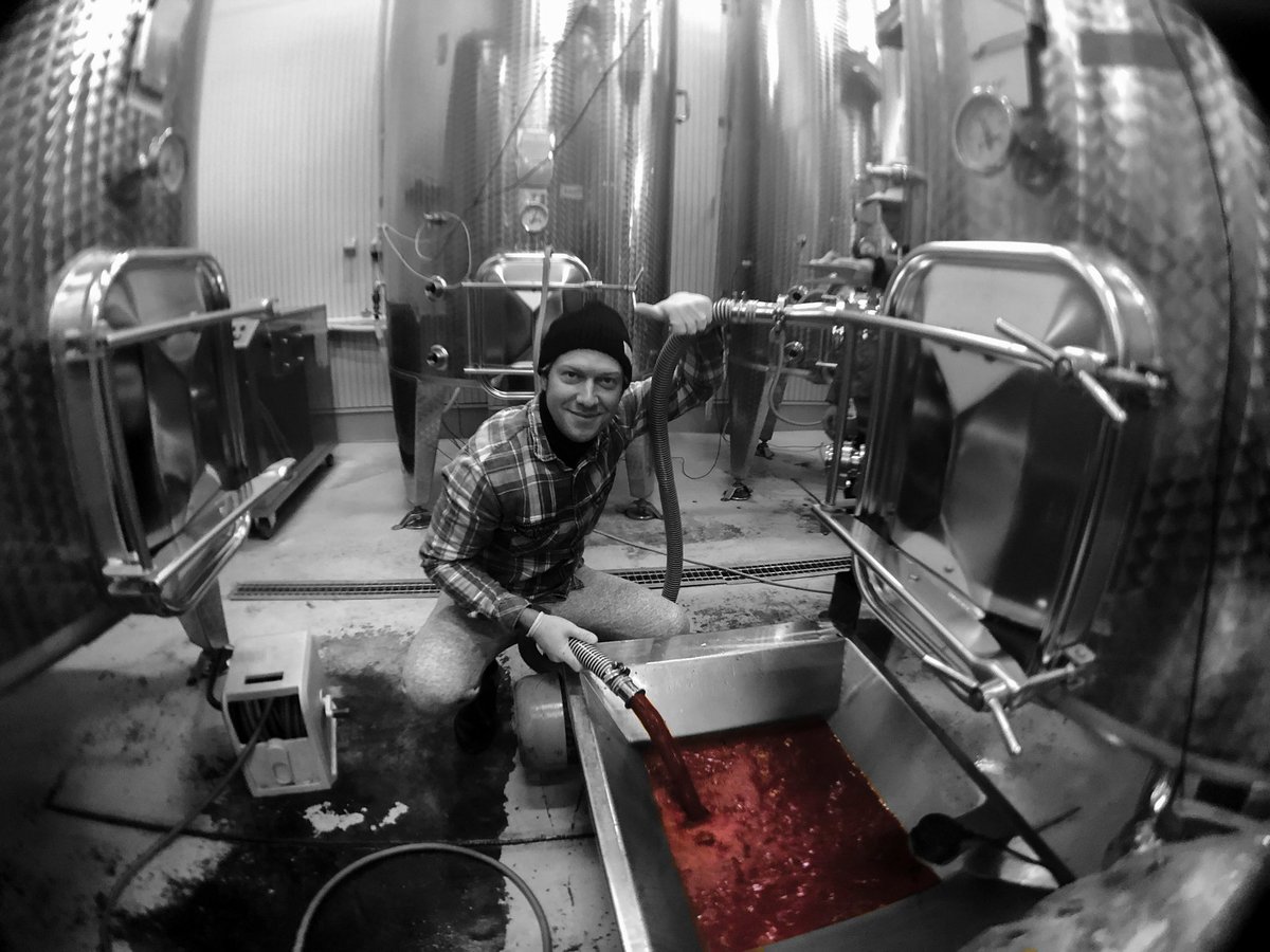 BlaisePlant's tweet photo. My #wine is so far so good.The Aroma of #Strawberry, #Cottoncandy & #Plum fills up the room.Exciting times. #firstwine #winemaking #merlot https://t.co/h0o0spiTbe