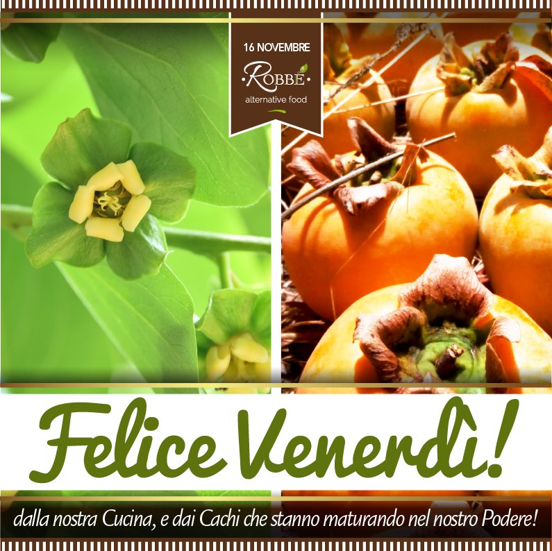 Robbealternativ's tweet photo. W i nostri Cachi in maturazione ...nel fieno del Podere! A breve saranno pronti per essere utilizzati all'interno delle nostre preparazioni ...per poter godere di tutte le loro splendide virtù! E voi, l'avete mai visto il fiore di #Cachi? Eccolo qui! #healthyfood #milano #kaki https://t.co/hQWEe5kmoH