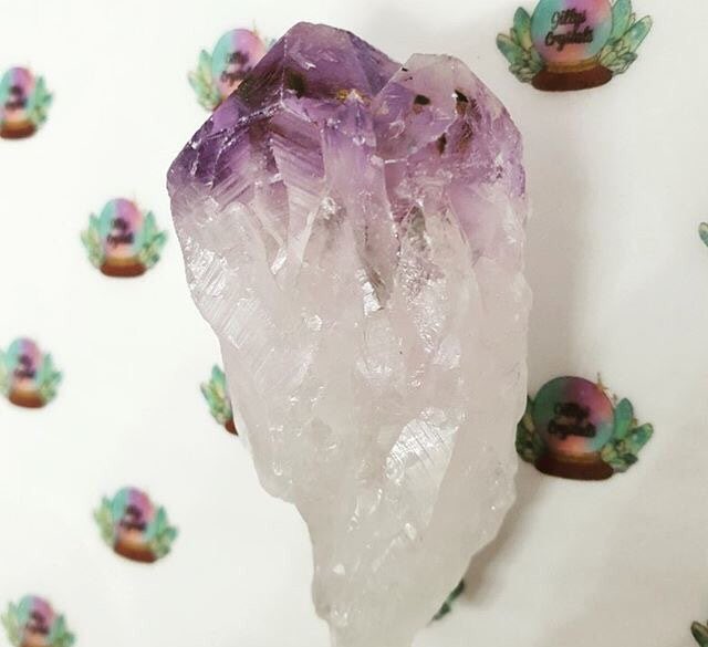 jillyscrystals's tweet photo. Amethyst Crystal Points are really good to meditate with, holding them in your hand or placing them on your forehead can help open the third eye chakra.
#crystal #amethyst #thirdeye #amethystcluster #meditation #amethystpoint #crystalpoint
💎 https://t.co/TvEVJevCe0 https://t.co/LwmnP7SoDt