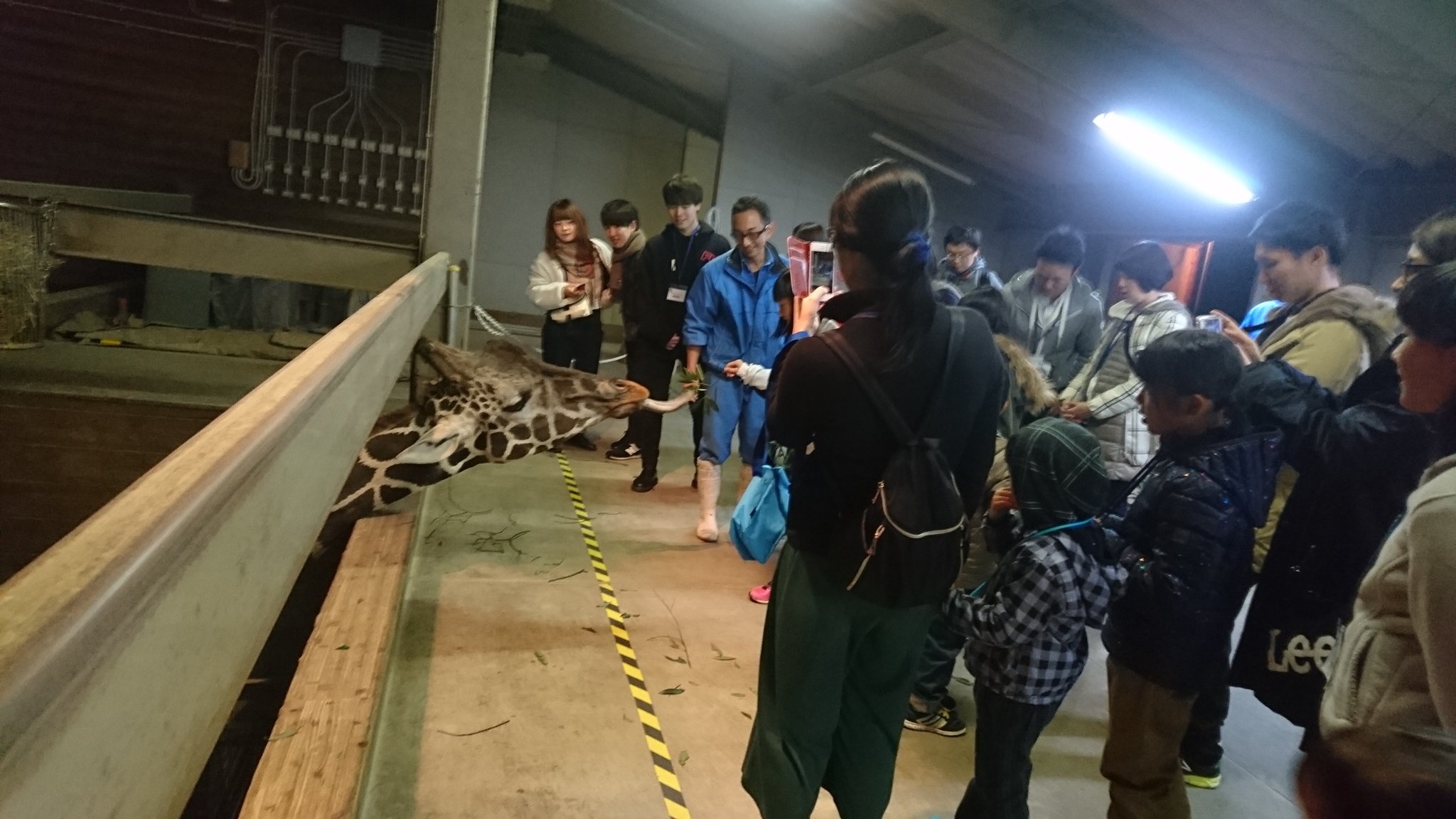 動物解説 - Twitter Search / Twitter