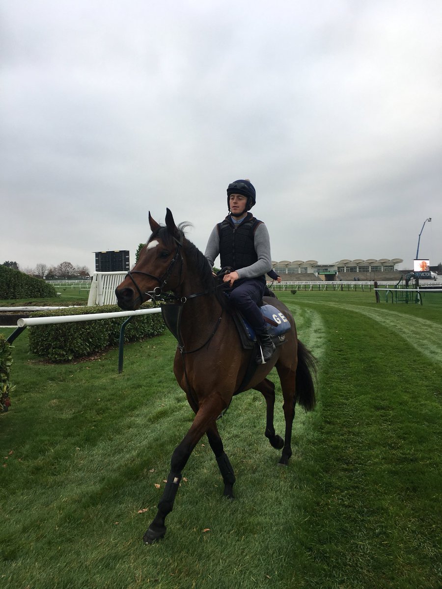 Ben Hastie tweet media