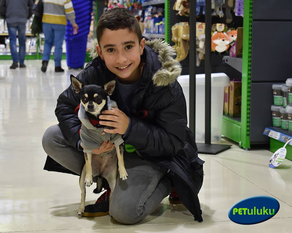 Petuluku's tweet photo. ¡Ayer fue un día emocionante para toda la familia #PETuluku y sólo podemos decir una cosa: GRACIAS a tod@s los que nos habéis acompañado en la inauguración de nuestra nueva tienda #PETulukuAlgete 😀
📍 Parque Comercial Puerta Algete C/Mayor, 62 28110
¡Aquí os esperamos! 😍😍 https://t.co/DUHFFKf1cO