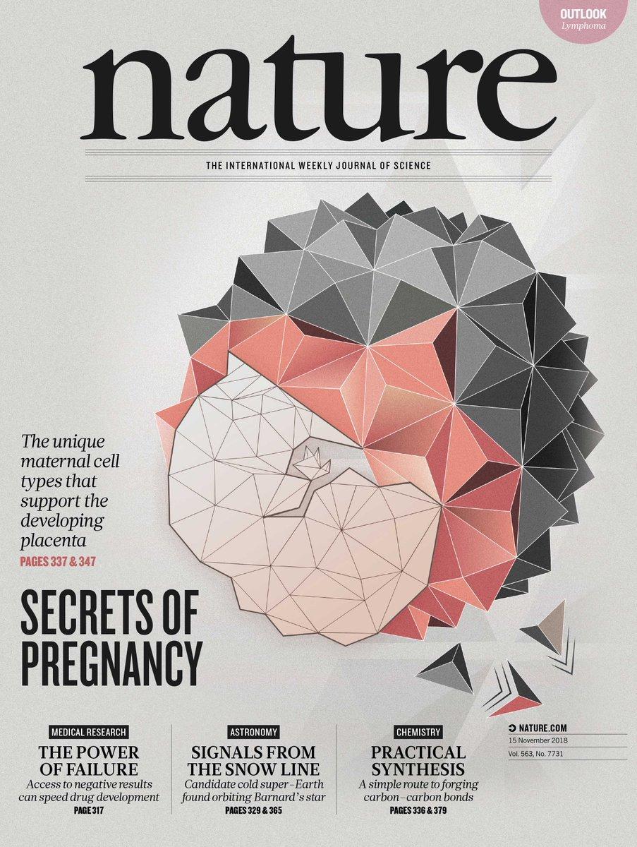 NaturePortfolio's tweet photo. On the Nature cover this week: Secrets of pregnancy. The unique maternal cell types that support the developing placenta. https://t.co/mN6HDwlnEx https://t.co/52iFIeFURS