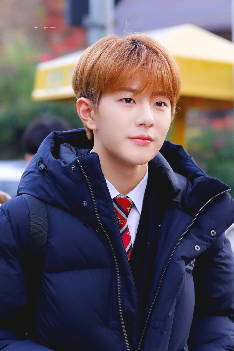 bominfiles's tweet photo. 181115 © your serenity.
✧*:･ﾟ #Golden_Child ｡ #골든차일드 ｡ #최보민 ｡ #보민 https://t.co/Bt9mO95tCz