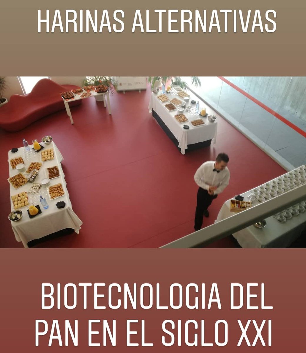 AlbertoR_Bio's tweet image. Increíbles Jornadas científico-técnicas "Biotecnología del Pan en el sXXI".
Enhorabuena por la organización y ponencias. @ibfg_es