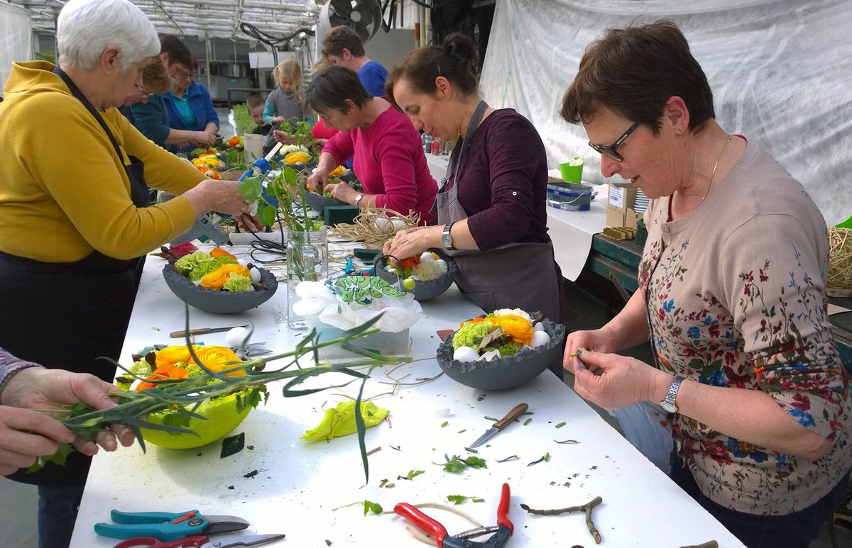 Op zoek naar een #leuke en #originele #workshop #bloemschikken? Contacteer #Romberama, de #amaryllis #specialist voor een #leerrijke en #aangename #workshop, zie bit.ly/2ywbMcz