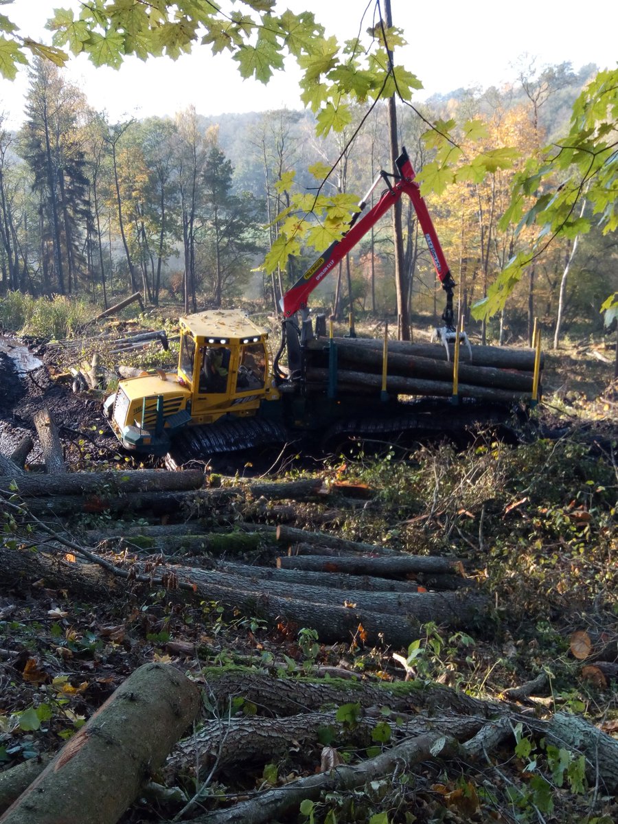 forwarder2020's tweet image. Have a look at this impressive scenery near Punia/Lithuania - our @forwarder2020 protoype demonstrating its full power during the forest machine demo in October 2018!

#SustainableLogging #Forestry #H2020