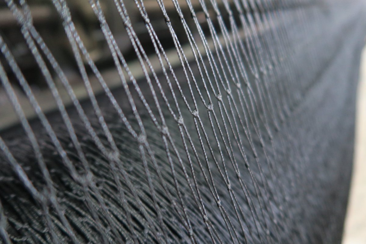 CollinsNets's tweet photo. Time to plan ahead...

If you need a custom size net, get a quote now &amp; order from us to secure delivery by end February.

01308 485422

#getaheadofthegame #gamerearing #netting #layingpen #rearingseason #collinsnets #roofnetting #birdnetting #pennetting #gamekeeping https://t.co/ls5Lcxd6Cp