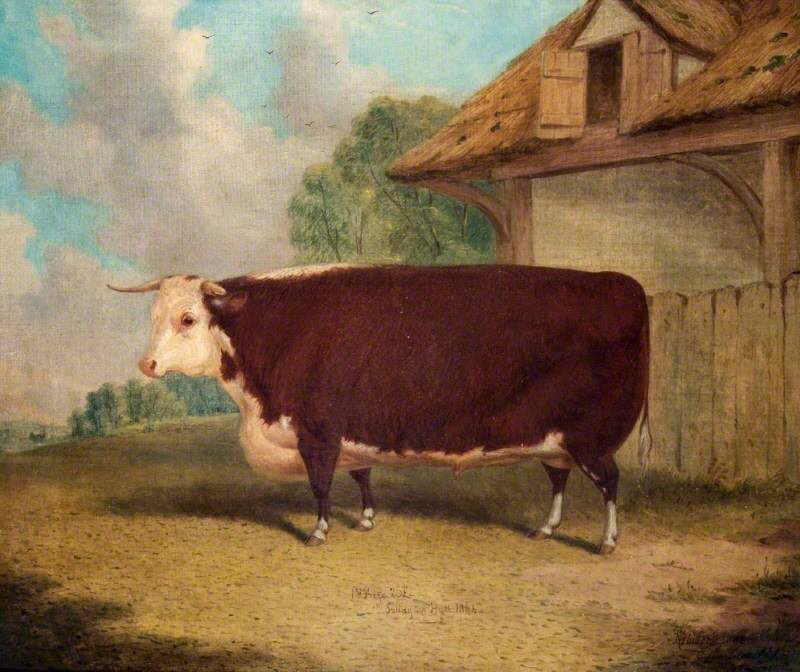 TheMERL's tweet image. Draw me like one of your Hereford oxen