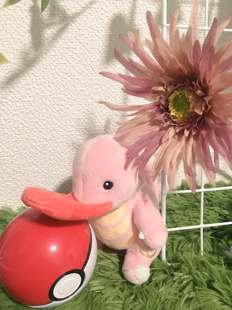 ポケモン ぬいぐるみ 5匹 激レア 入手困難ぬいぐるみ 日本で買 cfscr.com