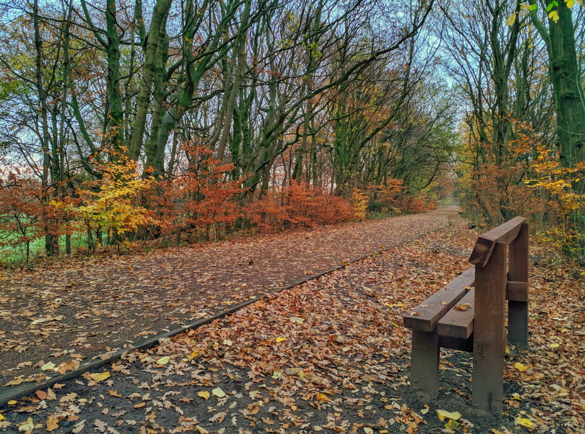 arthur_public's tweet photo. Roe Green loopline #cycleway #roegreenloopline #worsley #commute #salford #manchester #GreaterManchester #England #autumn https://t.co/hxLpbLxZok